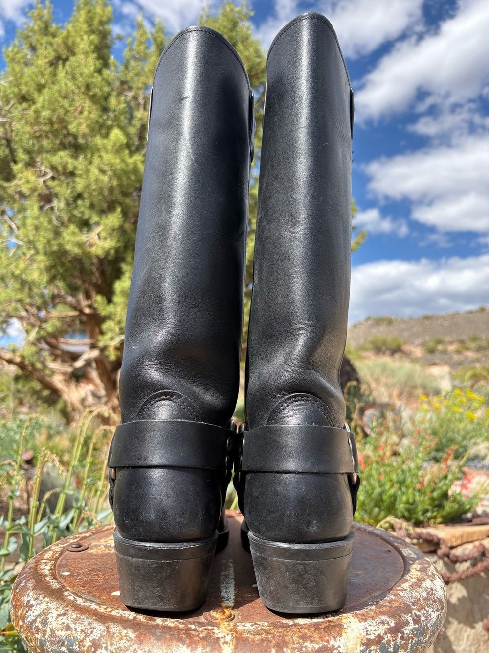 FRYE 15R Harness Boots - Picture 8 of 16